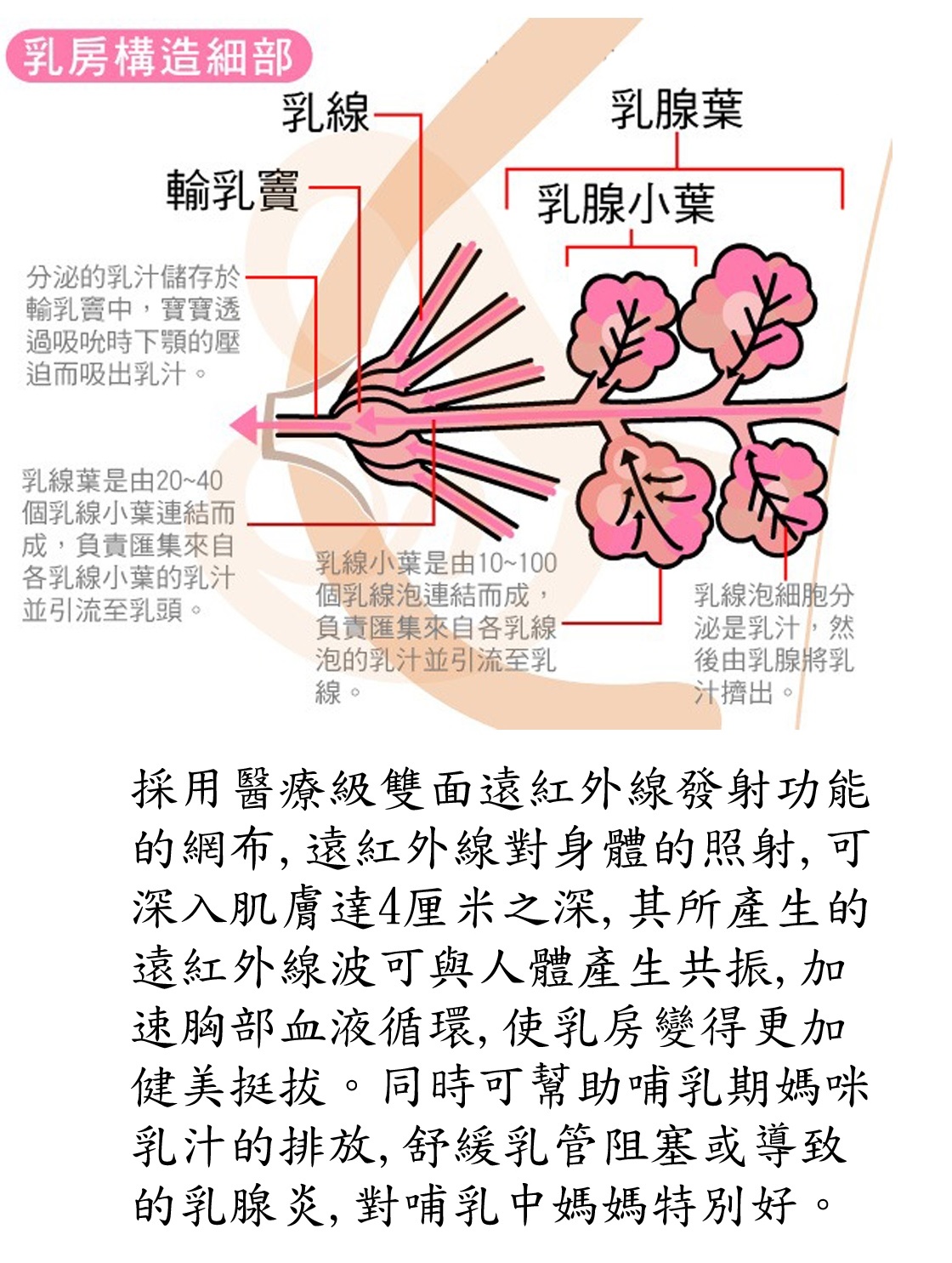 F-Tech 遠紅外線哺乳胸圍